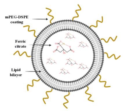 Our new paper, "Phosphate-Trapping Liposomes for Long-Term Management of Hyperphosphatemia", has just been published in Materials (special issue on Advanced Functional Materials for Biomedicinal Applications). The paper presents a new concept of phosphate-trapping liposomes, for effective and long-term control over serum phosphate levels to improve current management of hyperphosphatemia.
 
Click on the link for access!